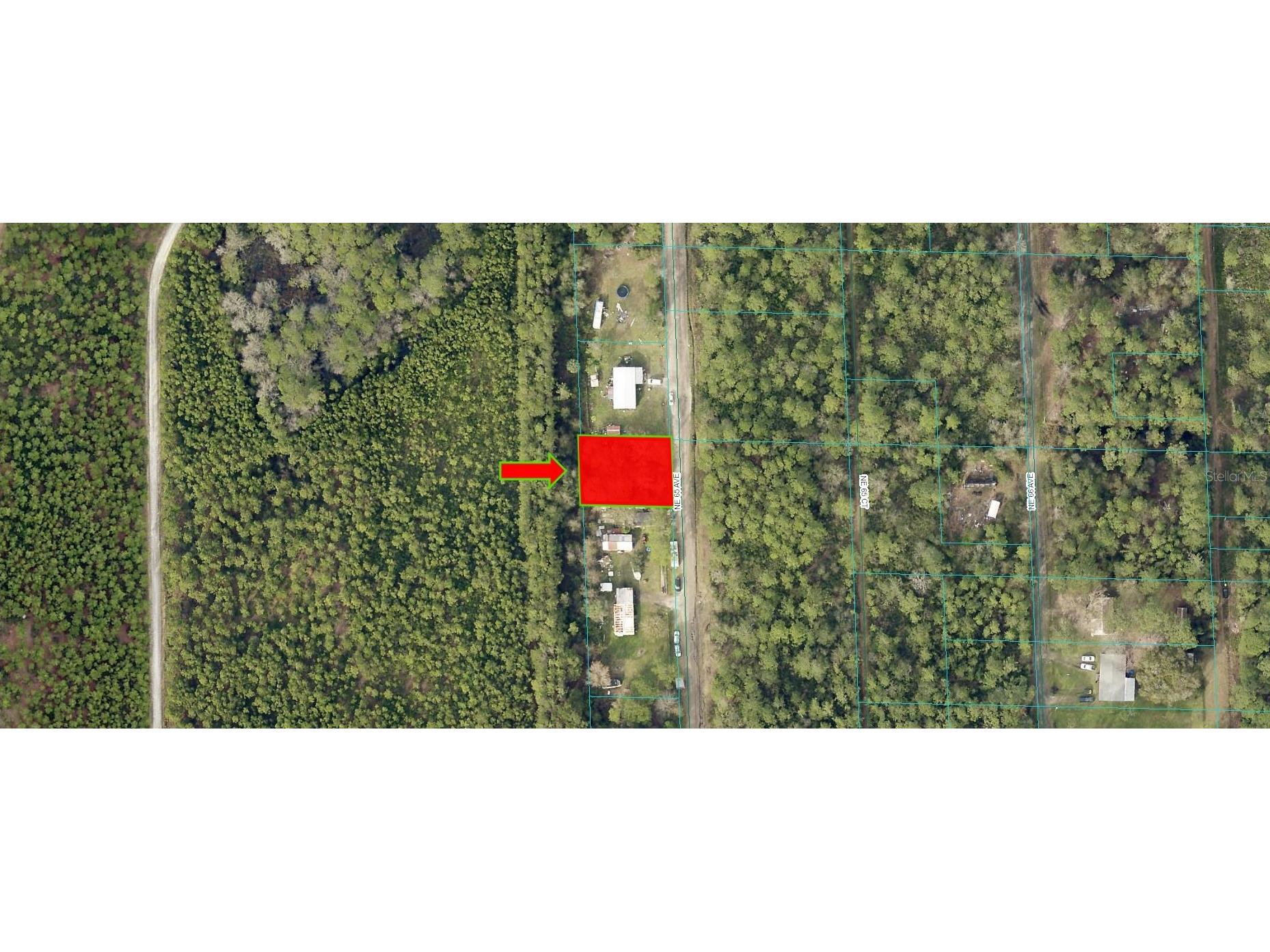 NE 65th Avenue Citra FL 32113 O6242141 image2