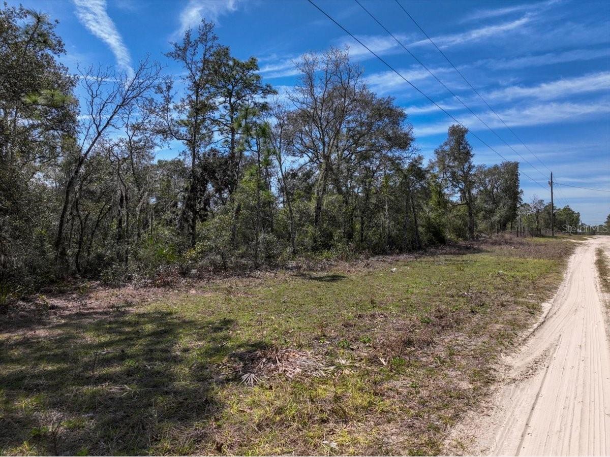 NE 65th Street Williston FL 32696 O6386734 image11