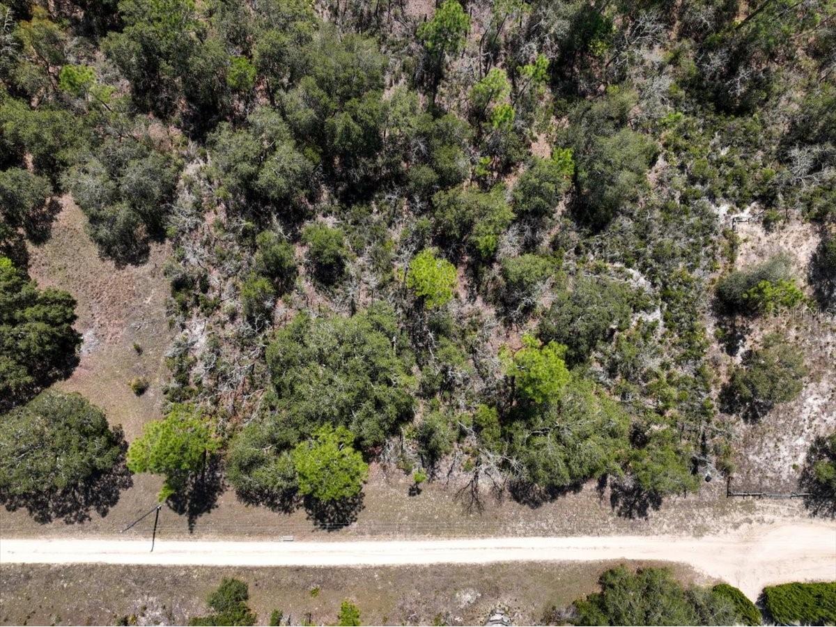 NE 65th Street Williston FL 32696 O6386734 image12