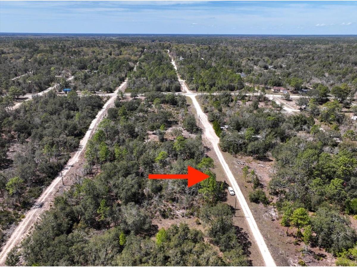 NE 65th Street Williston FL 32696 O6386734 image5