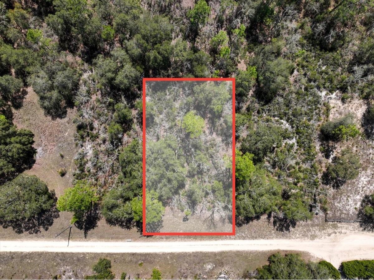 NE 65th Street Williston FL 32696 O6386734 image8