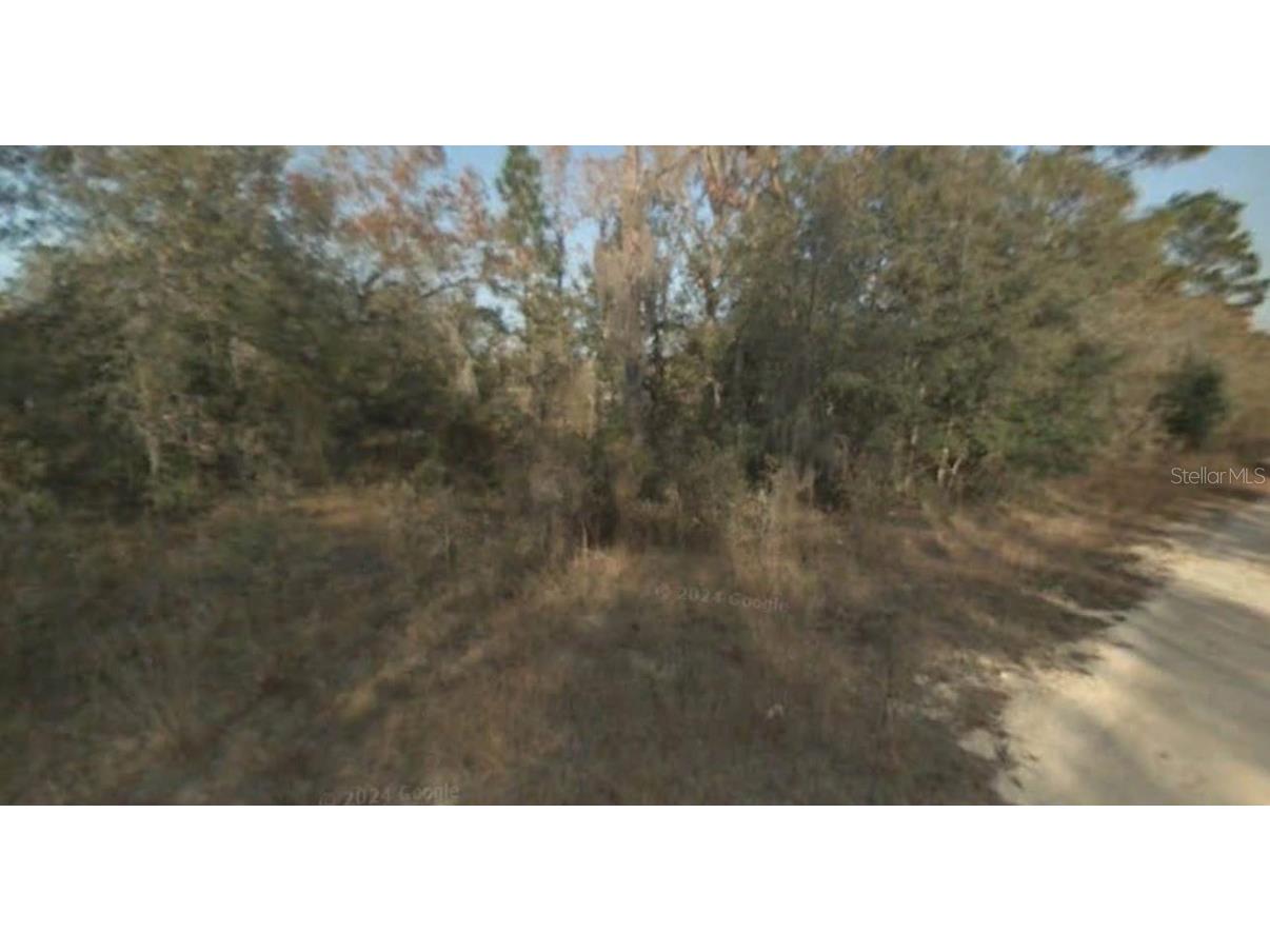 NE 65th Street Williston FL 32696 TB8453102 image2