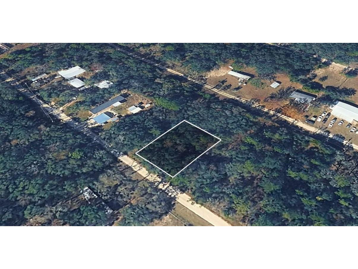 NE 65th Street Williston FL 32696 TB8453102 image3