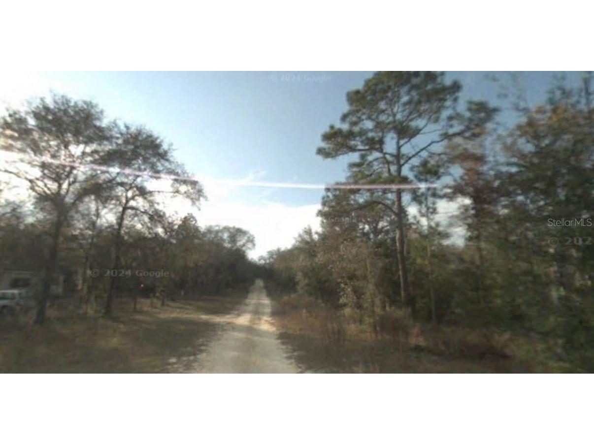 NE 65th Street Williston FL 32696 TB8453102 image5