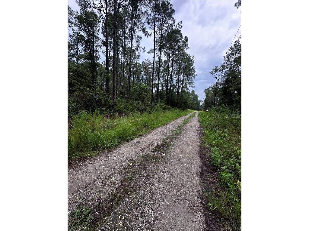 Ne 66th Ave Citra FL 32113 OM706347 image2