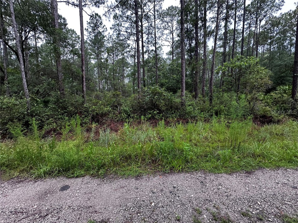 Ne 66th Ave Citra FL 32113 OM706347 image3