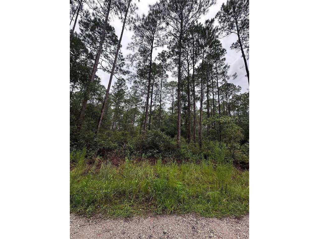 Ne 66th Ave Citra FL 32113 OM706347 image4