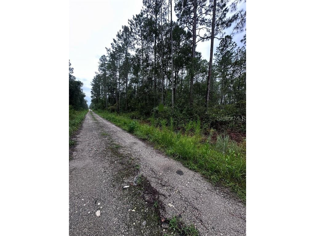 Ne 66th Ave Citra FL 32113 OM706347 image5