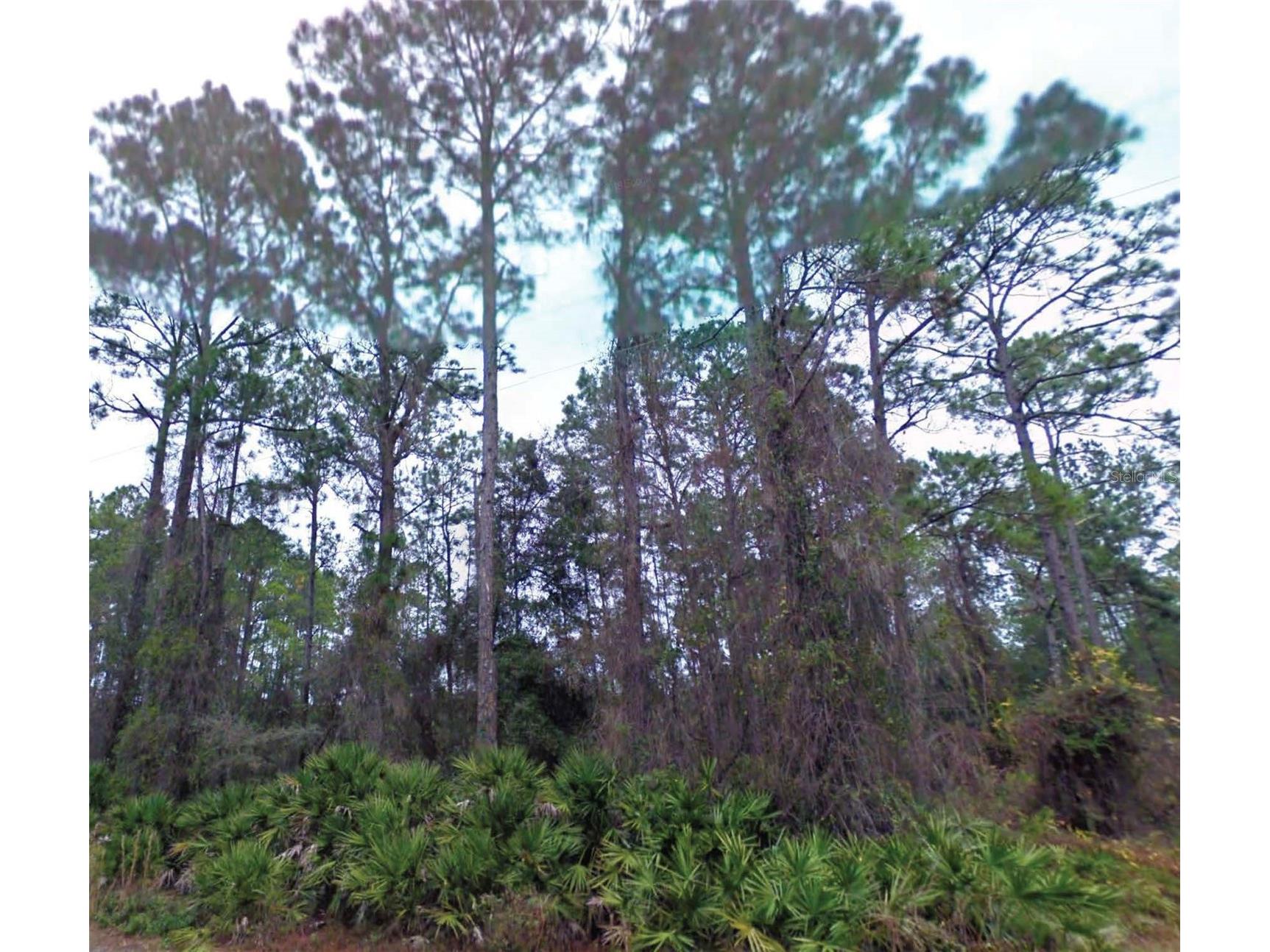 NE 66th Avenue Citra FL 32113 O6375725 image1