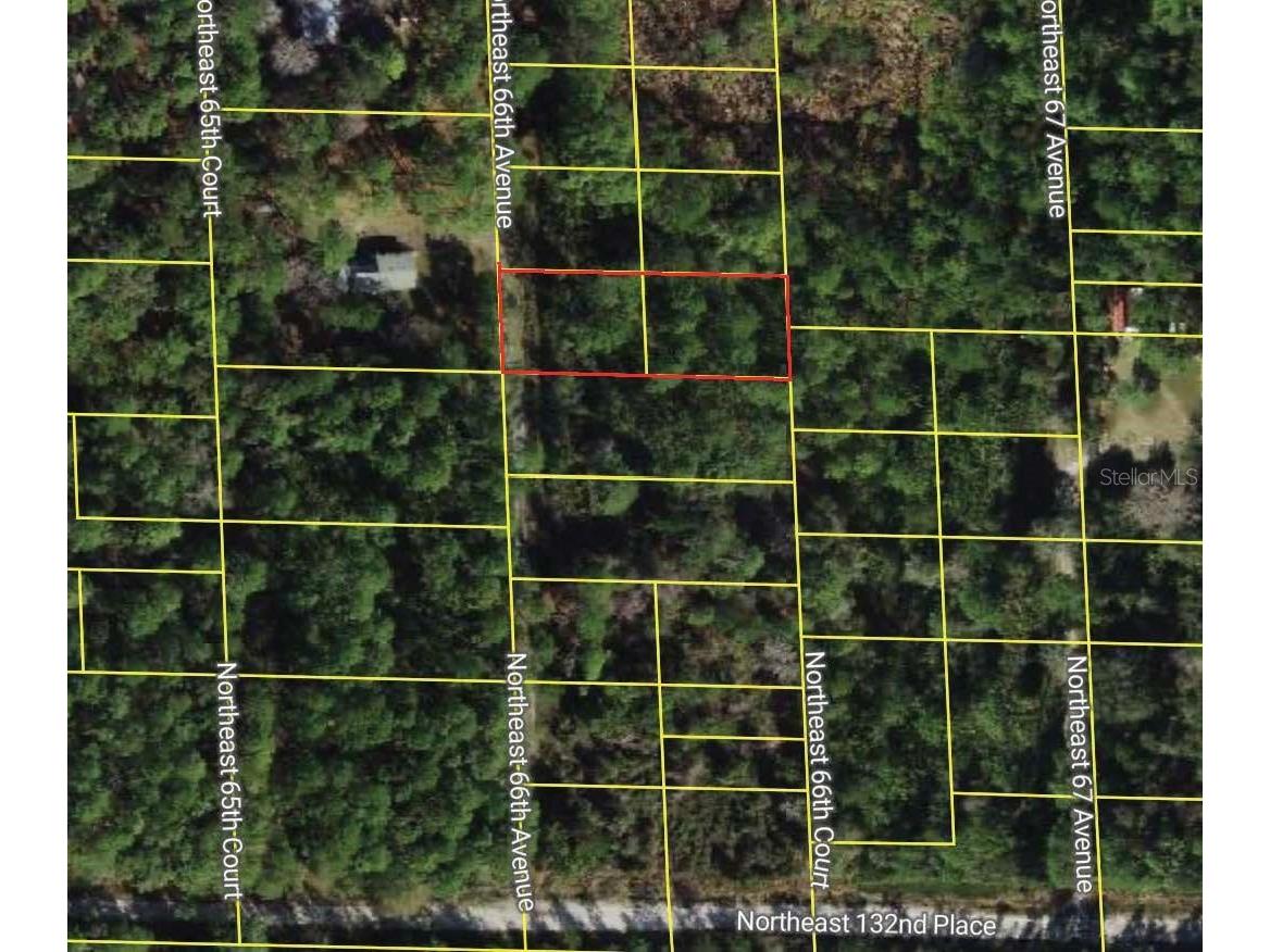 NE 66th Avenue Citra FL 32113 O6375725 image2