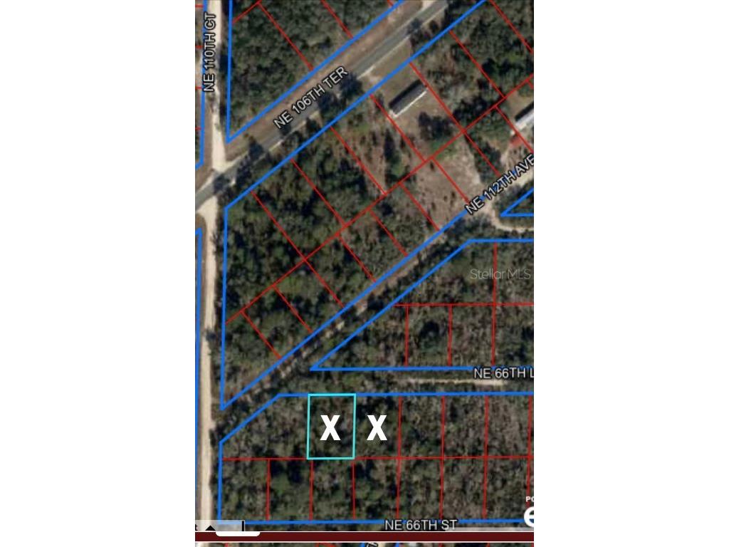 Ne 66th Bronson FL 32621 NS1081382 image1