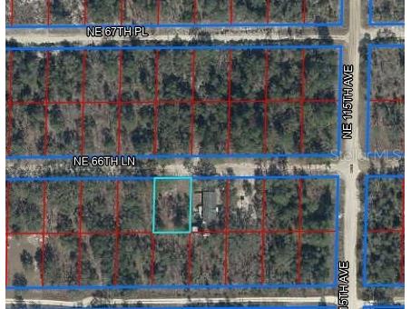 Ne 66th Lane Lot 11 Williston FL 32696 OM721095 image1