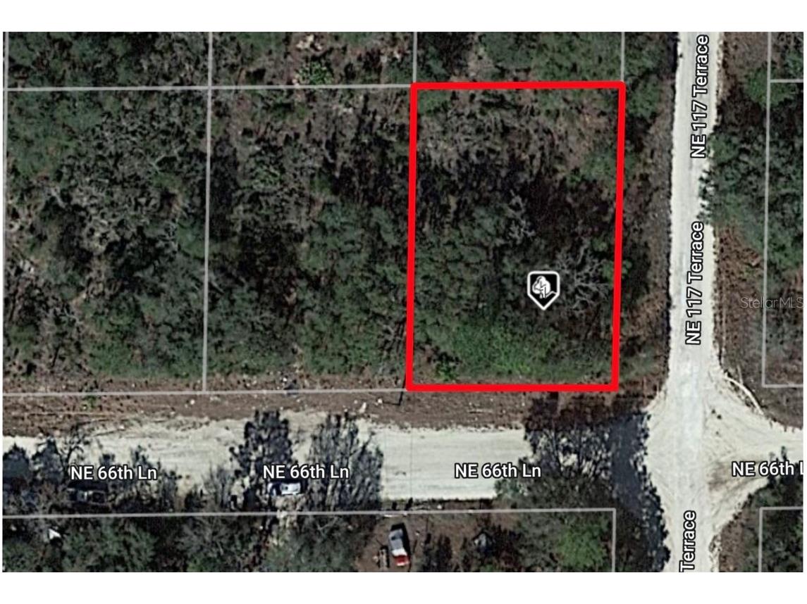 Ne 66th Lane Williston FL 32696 S5096442 image1