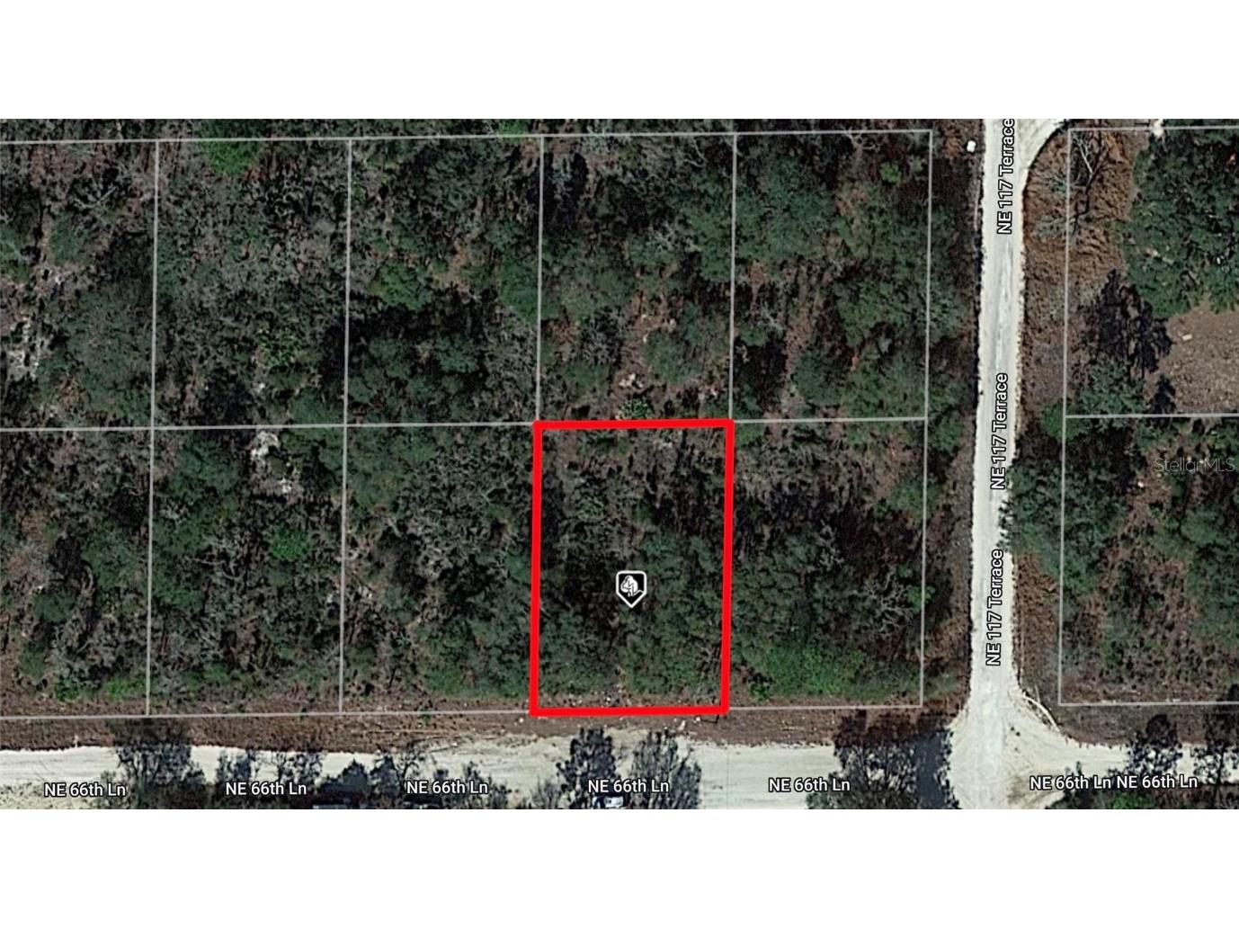 Ne 66th Lane Williston FL 32696 S5096470 image1