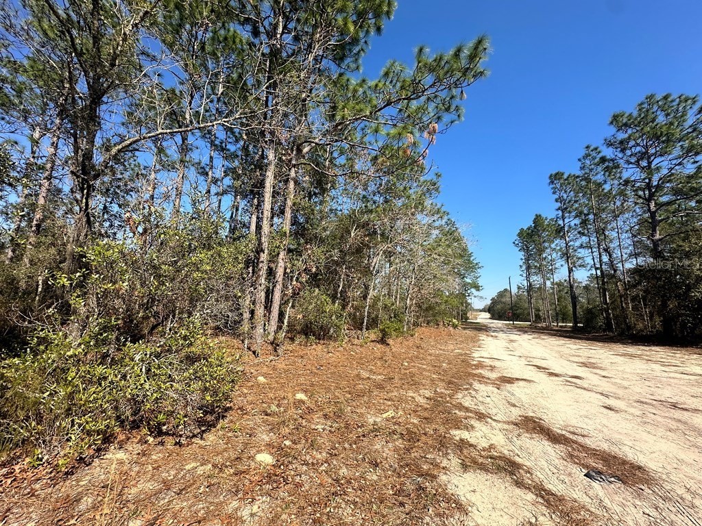 NE 66th Lane Williston FL 32696 GC520604 image1