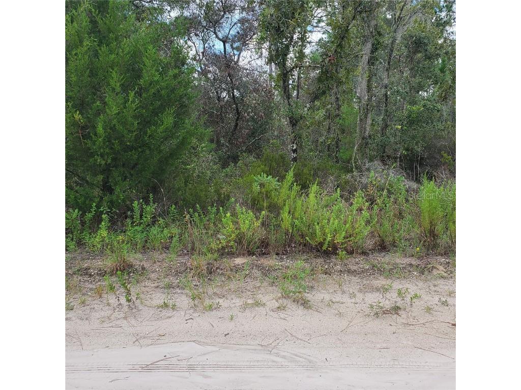 Ne 66th Lane Williston FL 32696 O6077218 image1