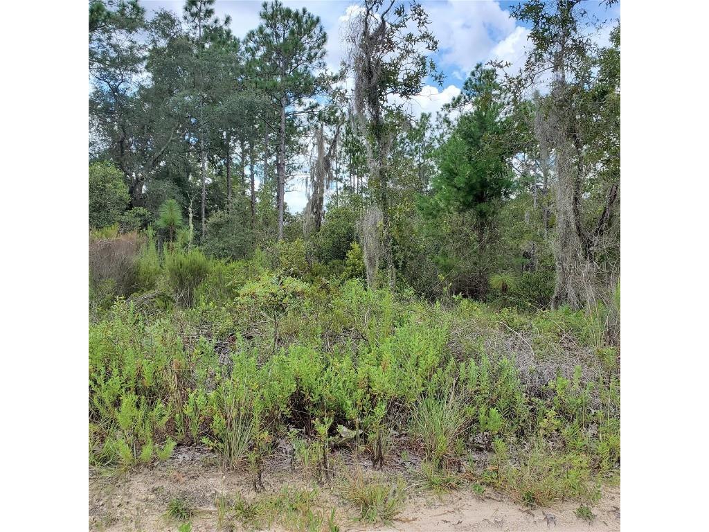 Ne 66th Lane Williston FL 32696 O6077218 image3