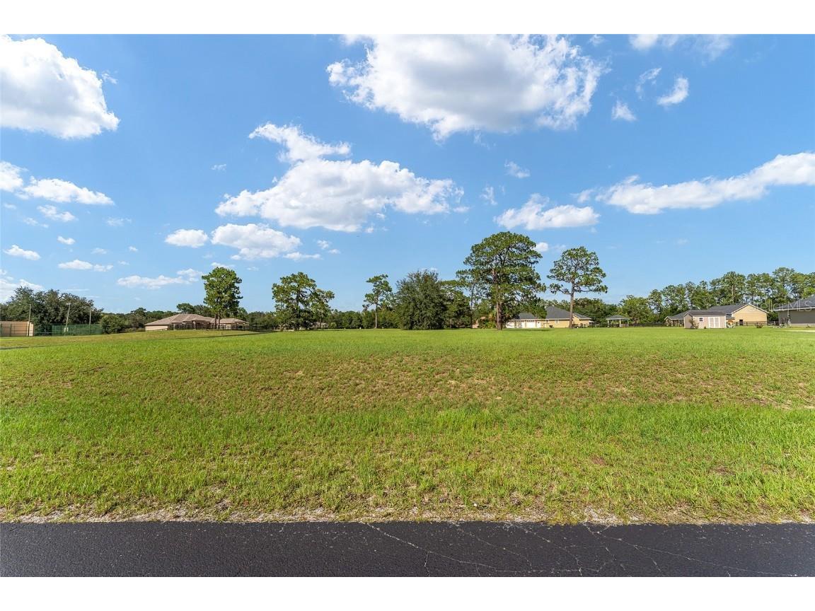 Ne 66th St Silver Springs FL 34488 FC311111 image1