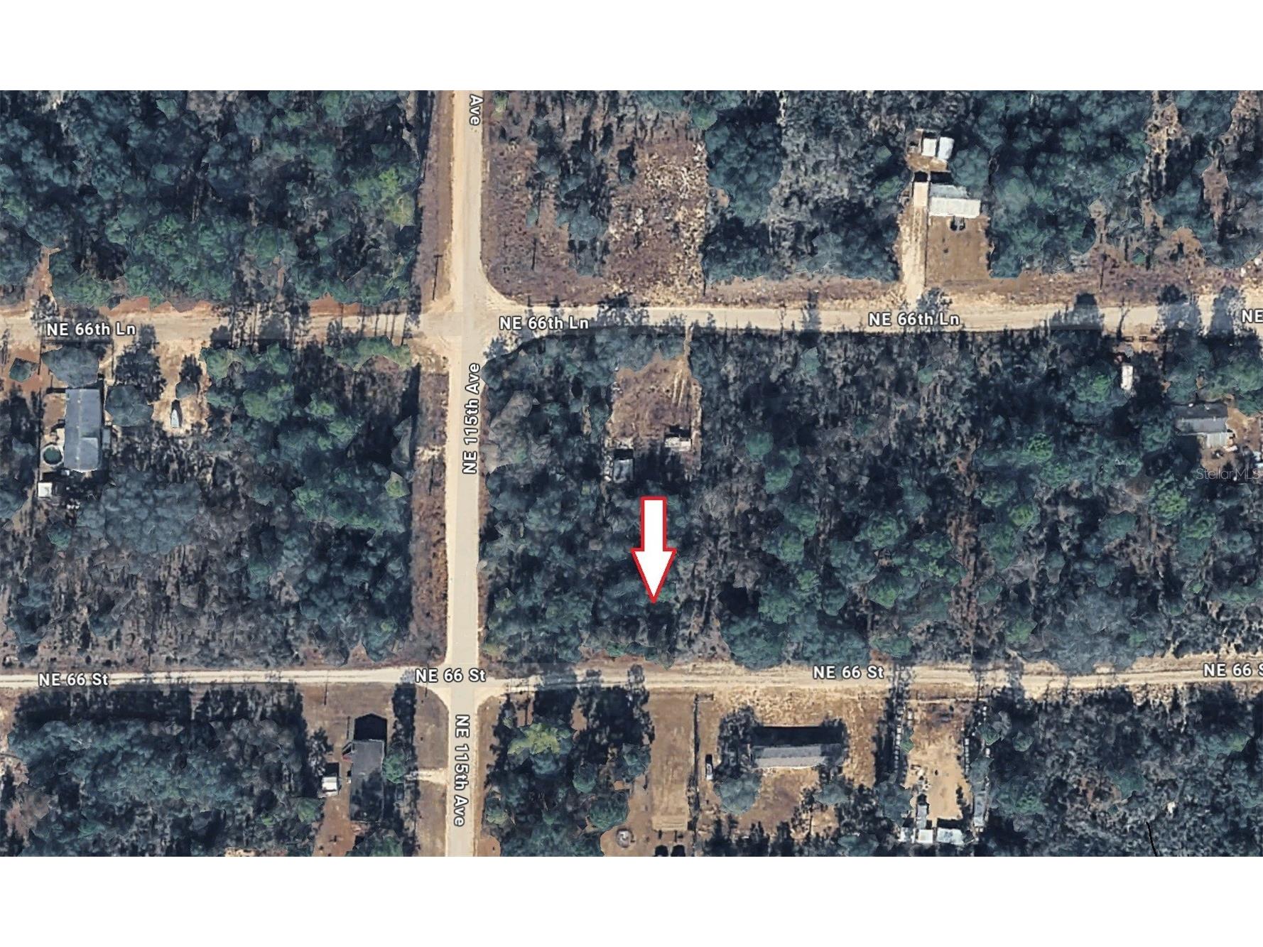 Ne 66th Williston FL 32696 OM723685 image1