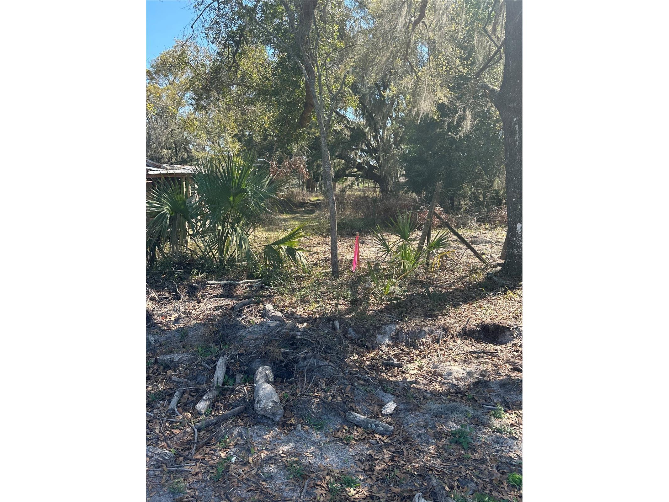 NE 688th Avenue Cross City FL 32628 OM720579 image11