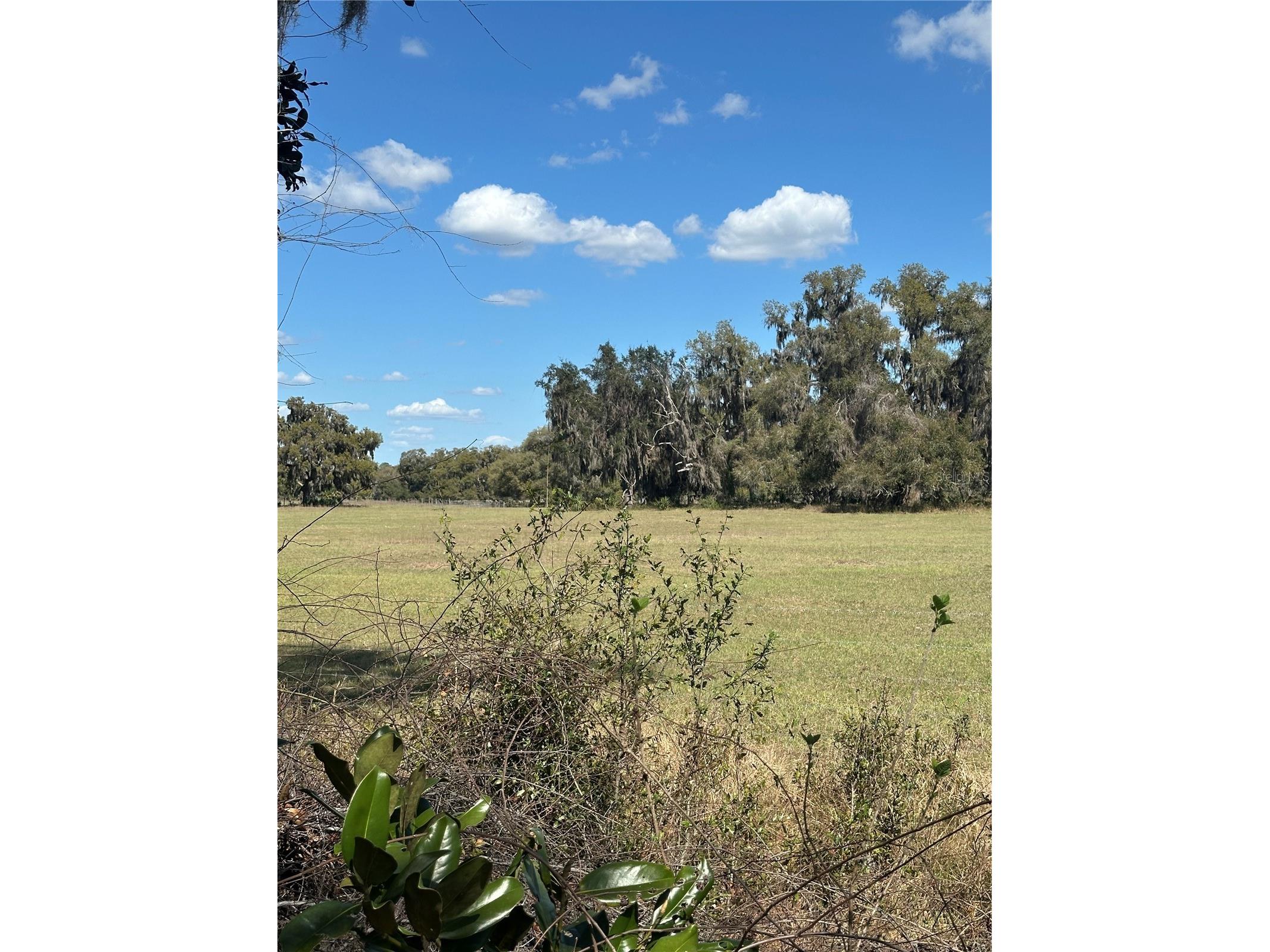 NE 688th Avenue Cross City FL 32628 OM720579 image12