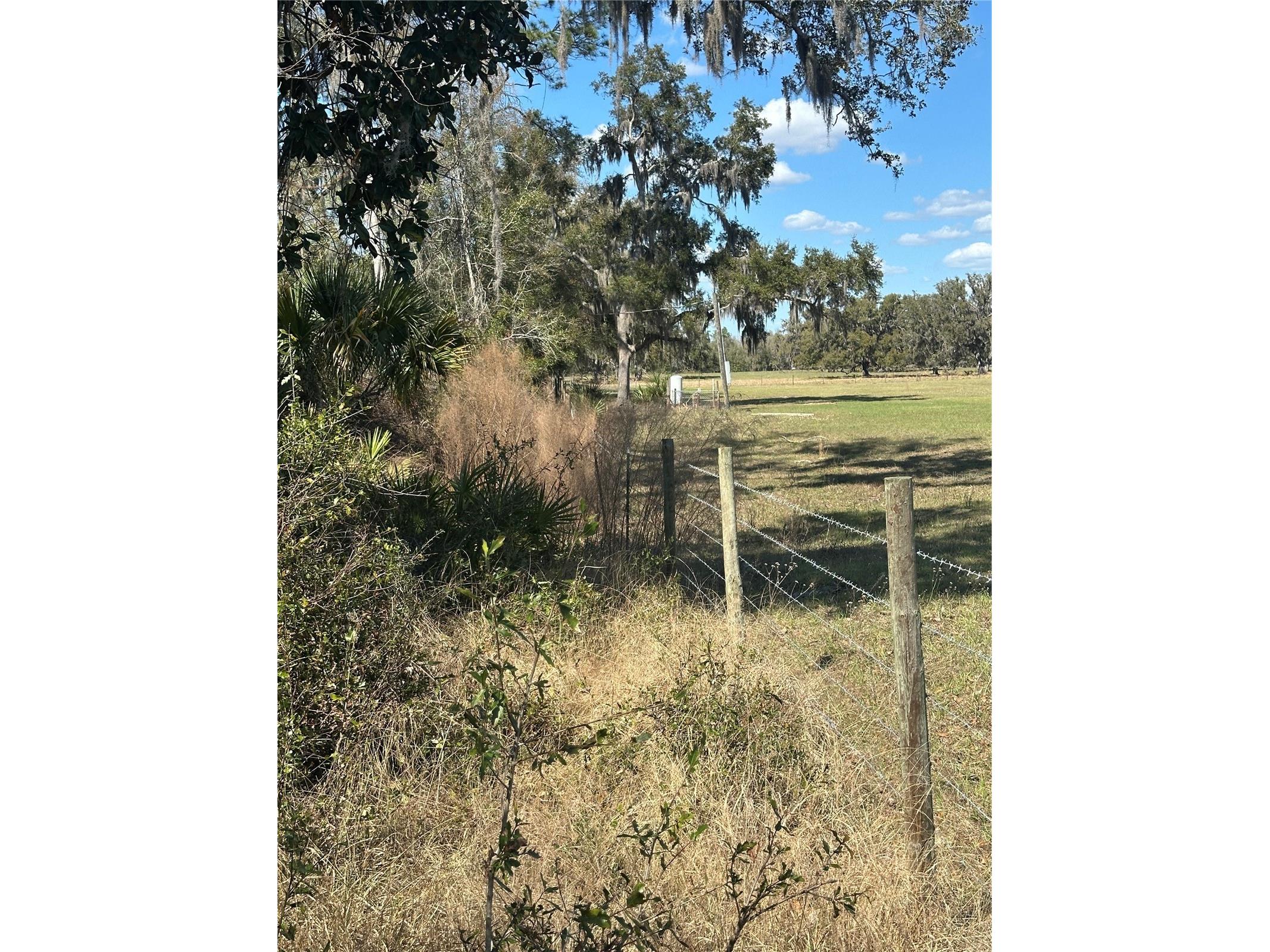 NE 688th Avenue Cross City FL 32628 OM720579 image13