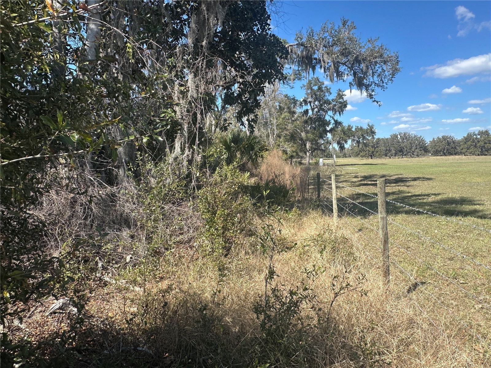 NE 688th Avenue Cross City FL 32628 OM720579 image15