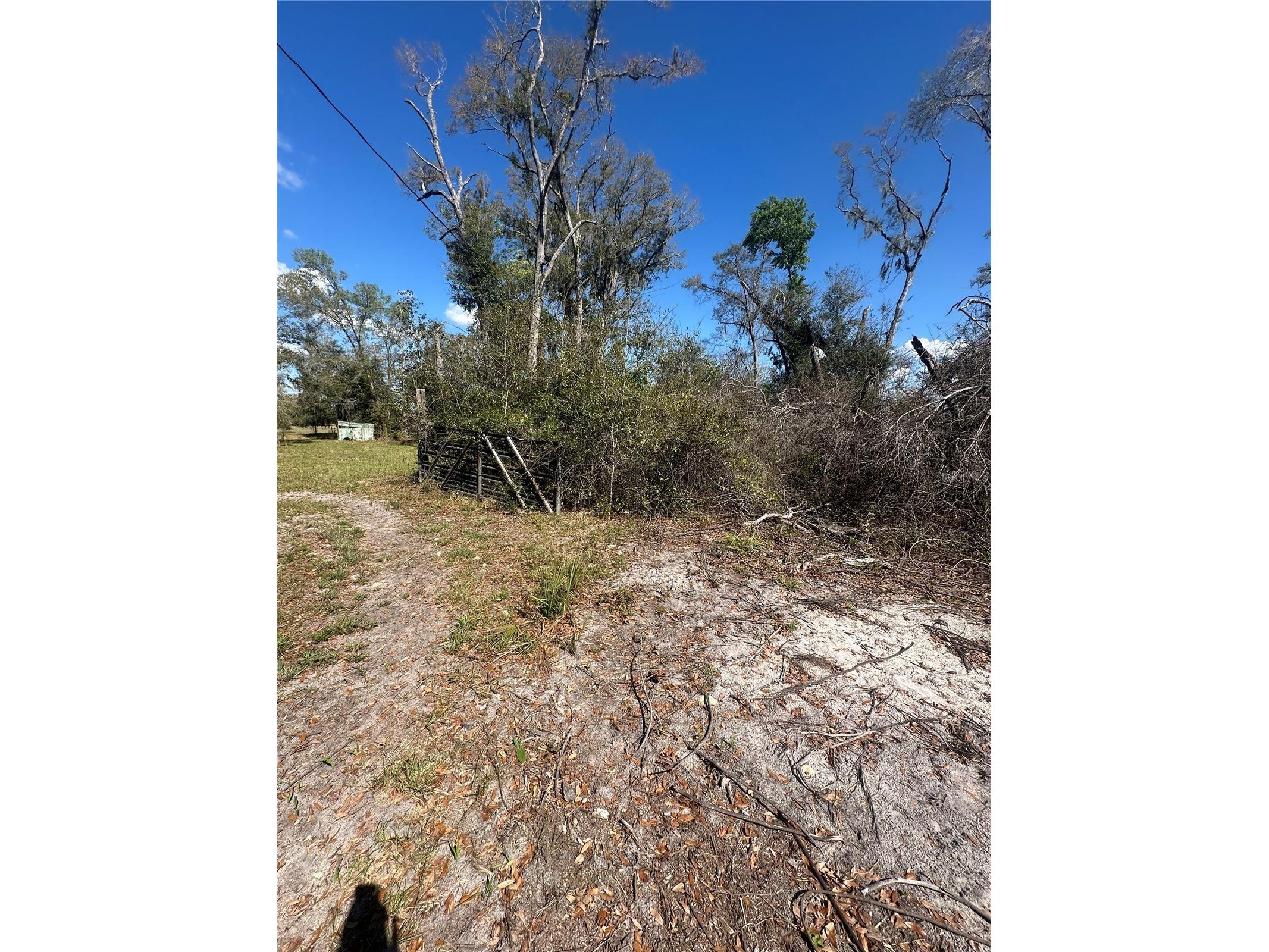 NE 688th Avenue Cross City FL 32628 OM720579 image17