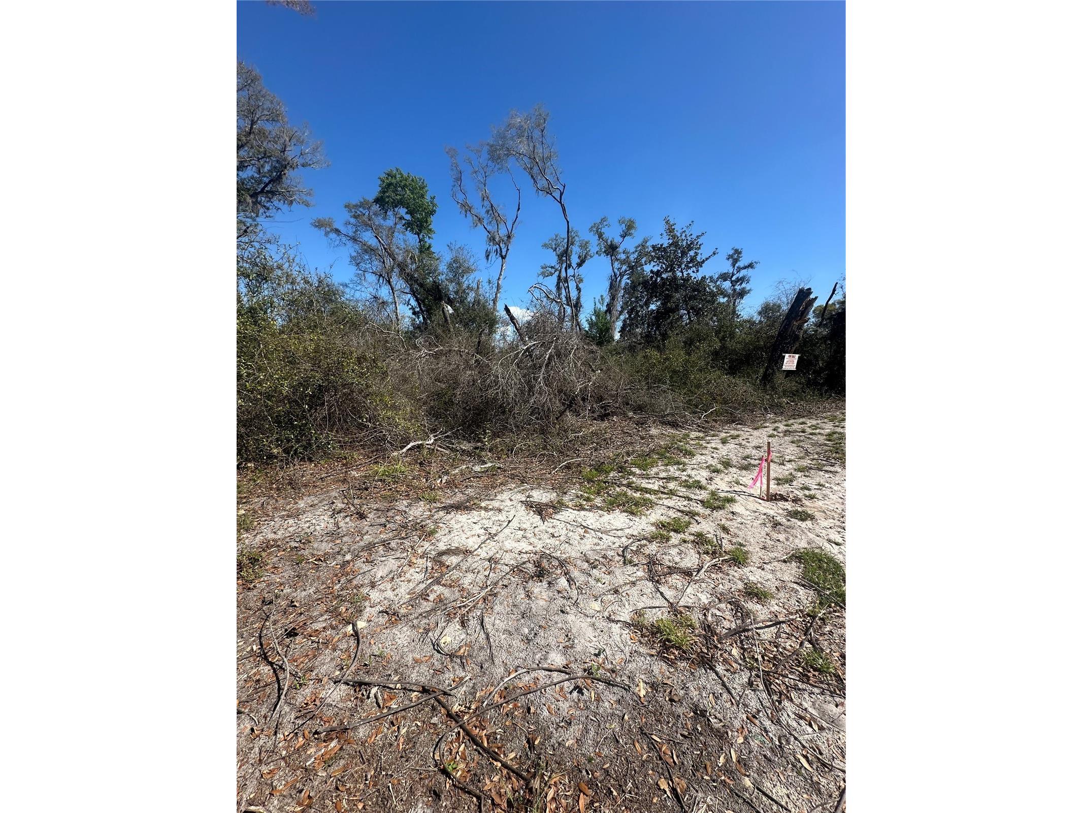 NE 688th Avenue Cross City FL 32628 OM720579 image18