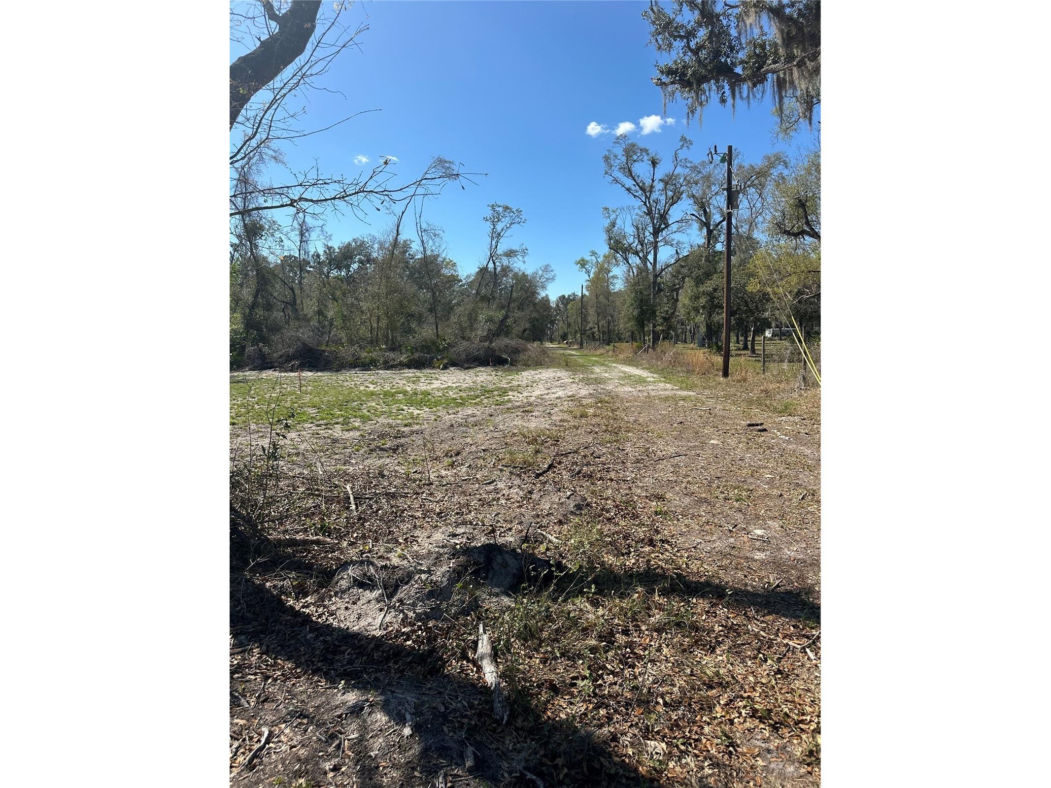 NE 688th Avenue Cross City FL 32628 OM720579 image20