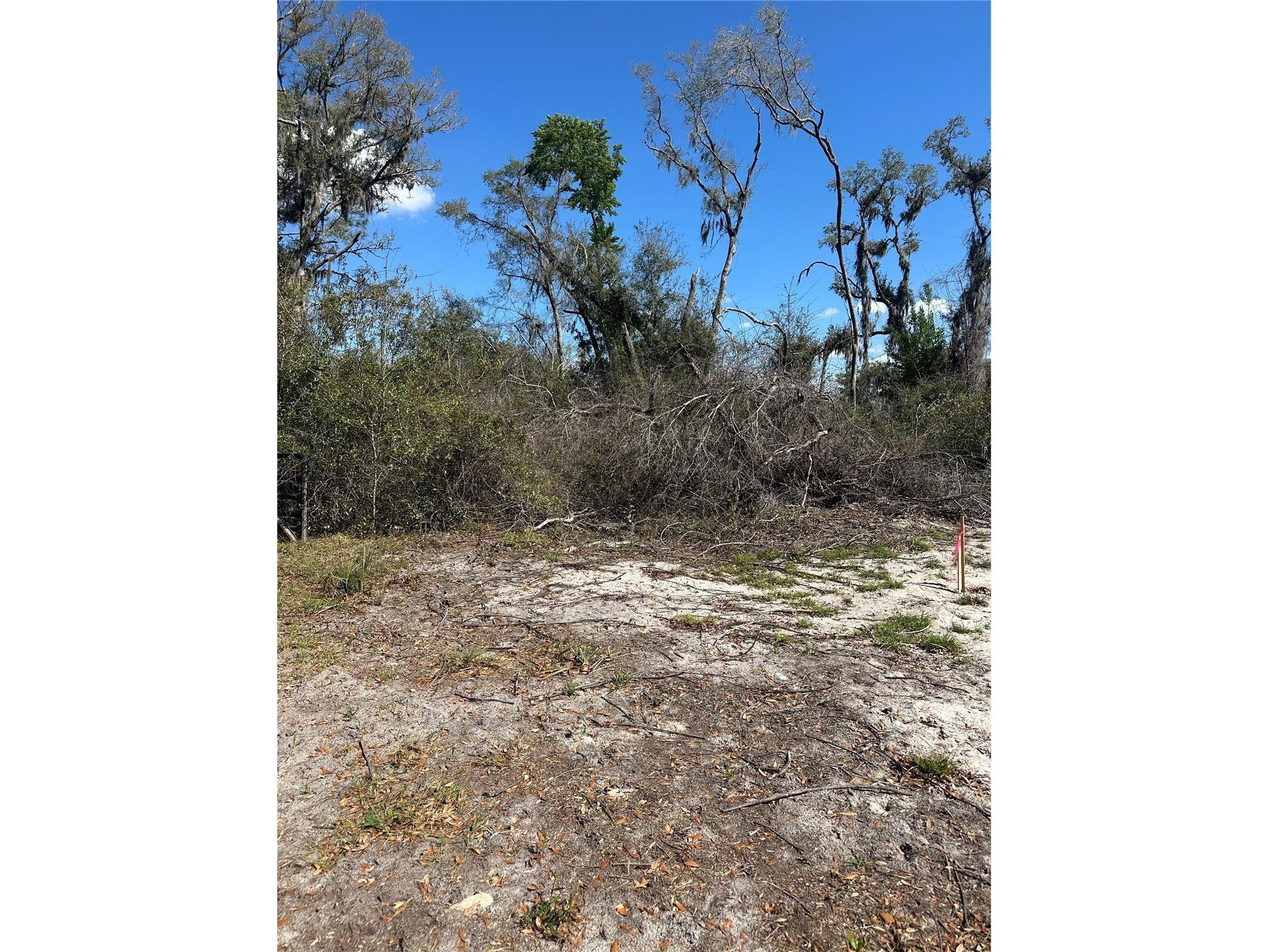 NE 688th Avenue Cross City FL 32628 OM720579 image21