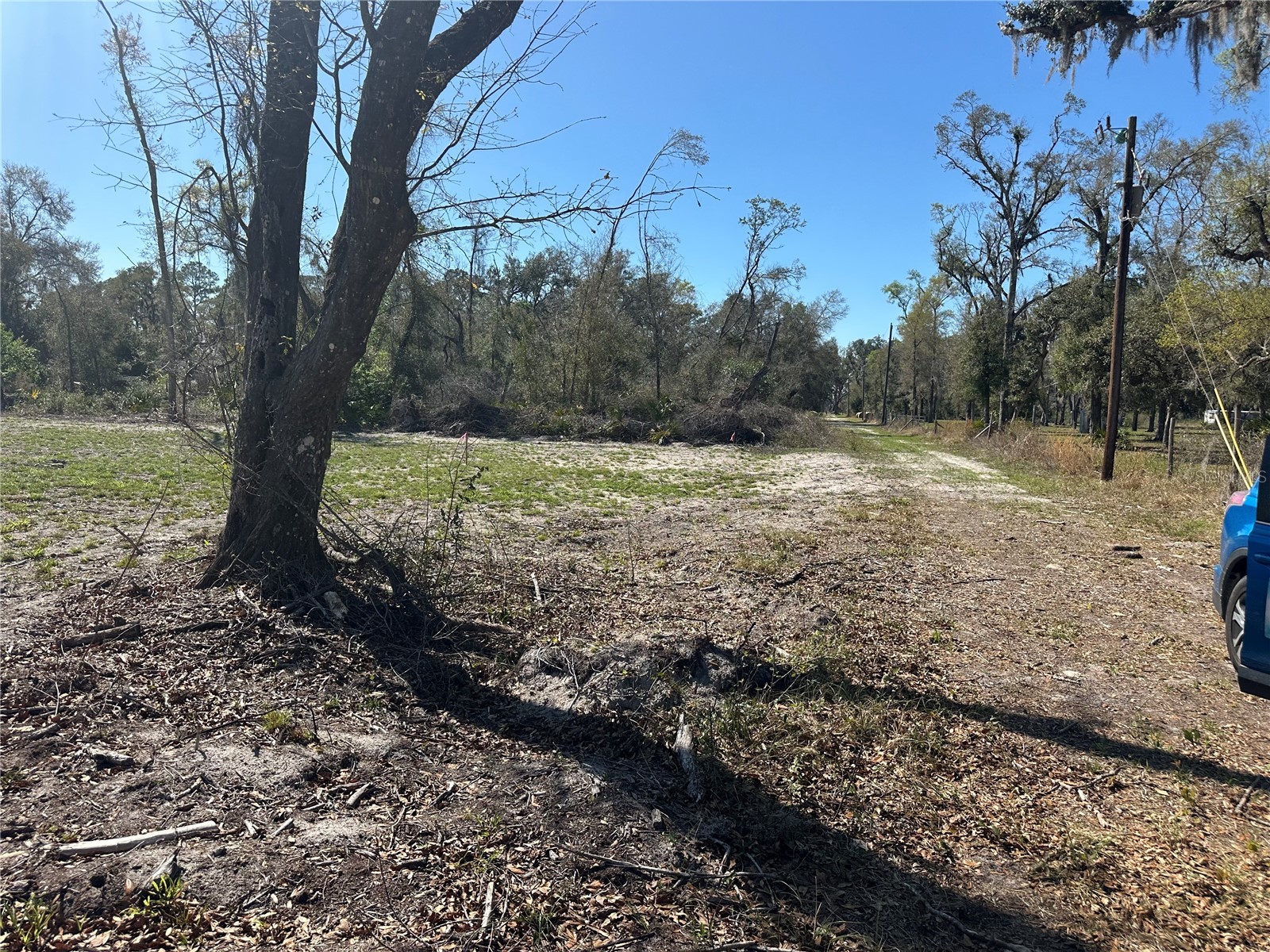 NE 688th Avenue Cross City FL 32628 OM720579 image3