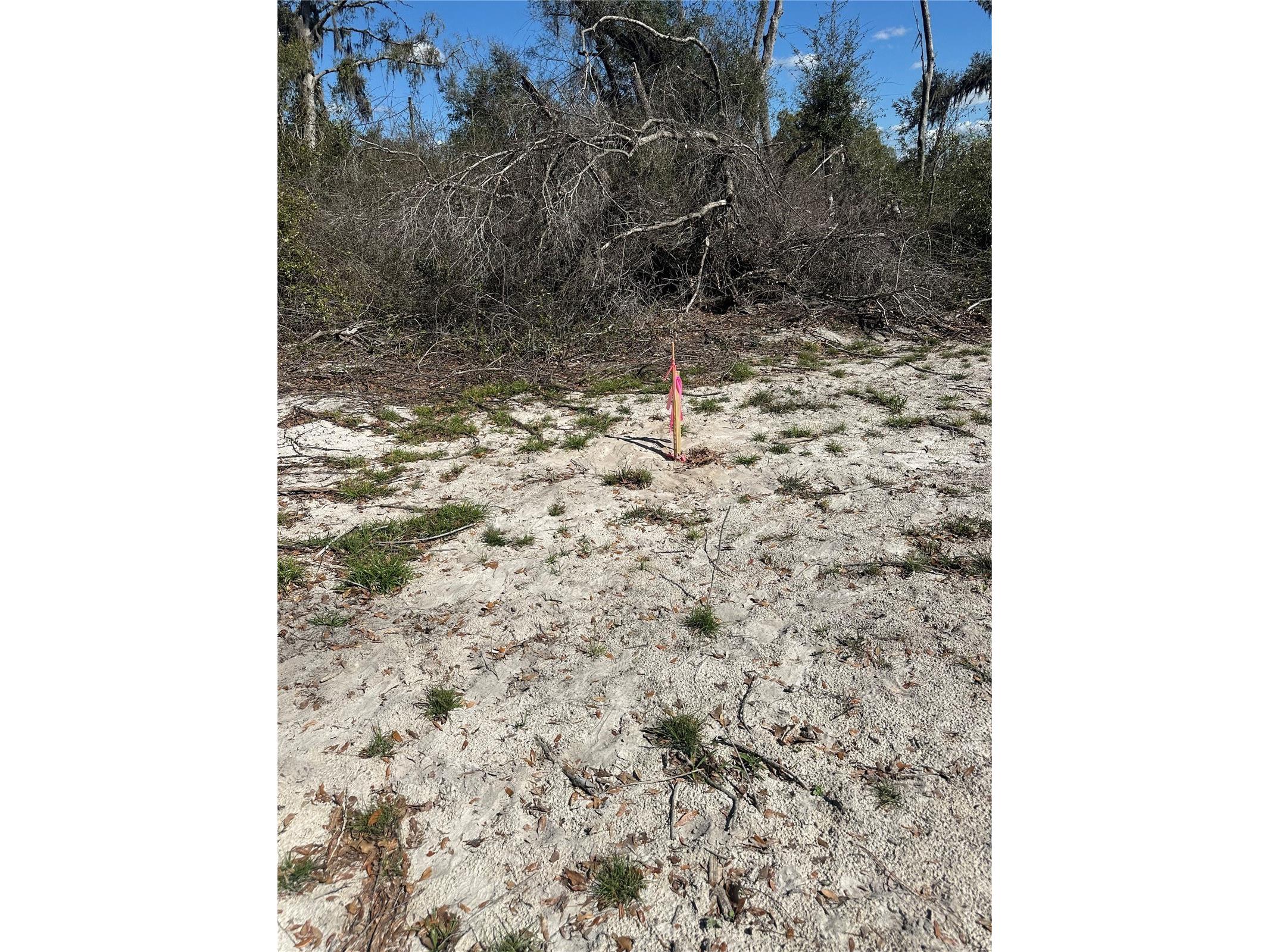 NE 688th Avenue Cross City FL 32628 OM720579 image4