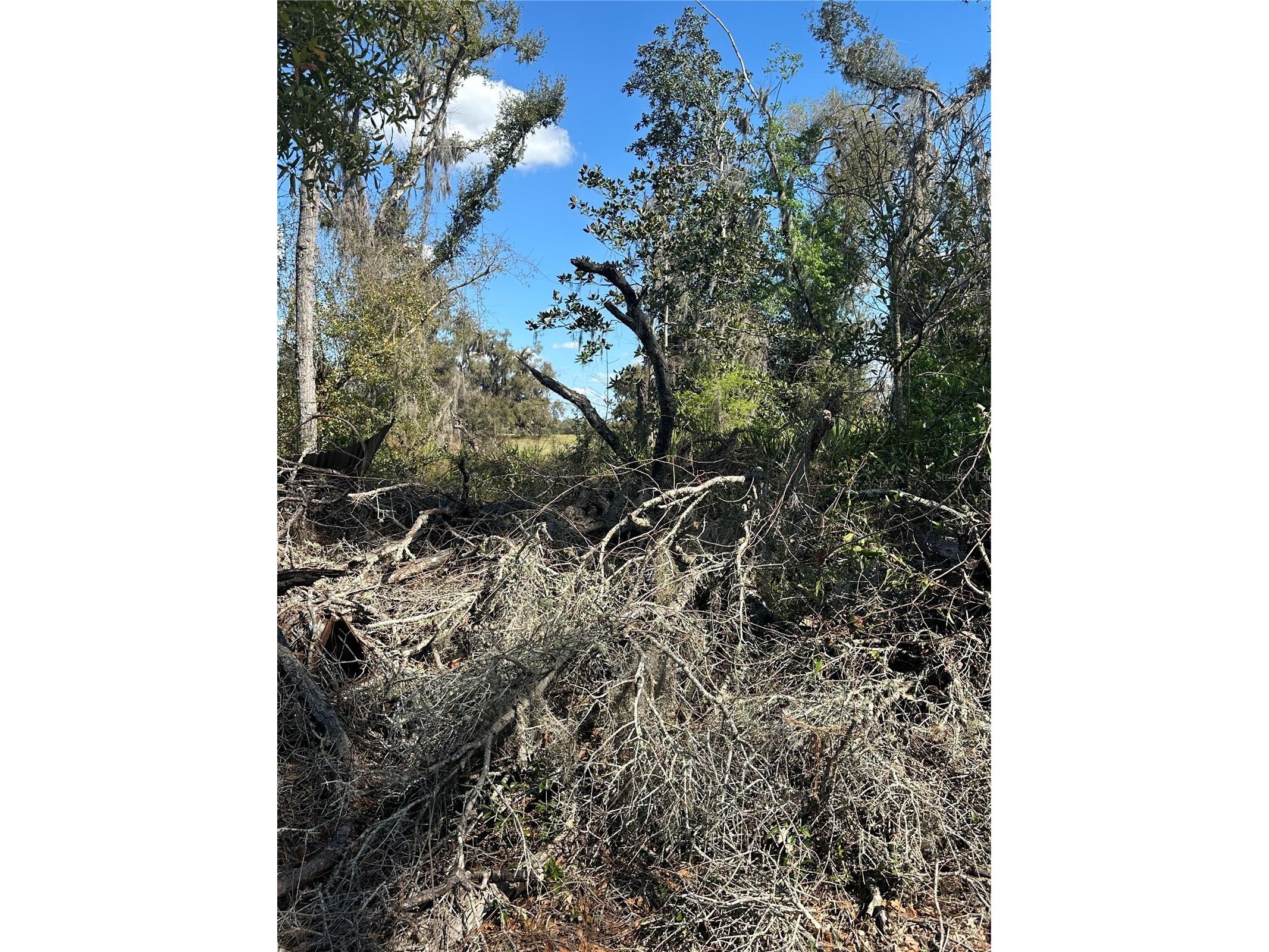 NE 688th Avenue Cross City FL 32628 OM720579 image8