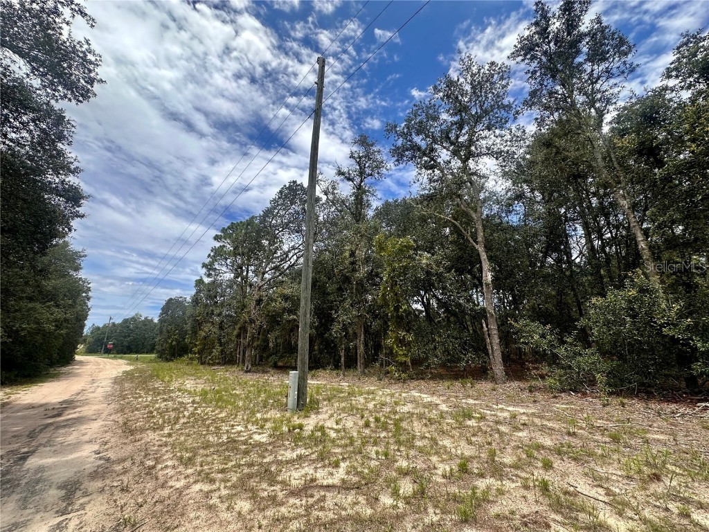 NE 68th Place Williston FL 32696 GC520631 image1