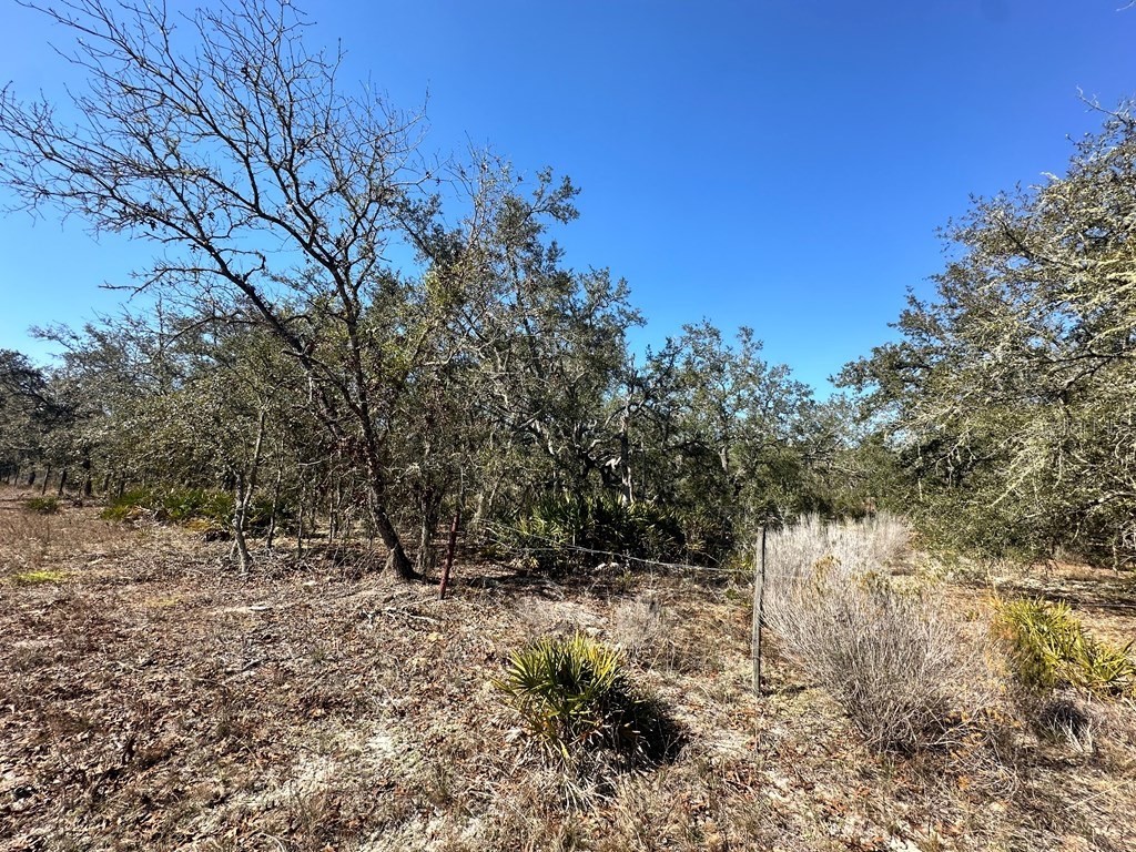 NE 69th Street Williston FL 32696 GC520603 image2