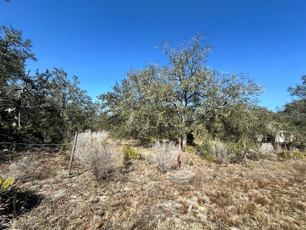 NE 69th Street Williston FL 32696 GC520603 image3