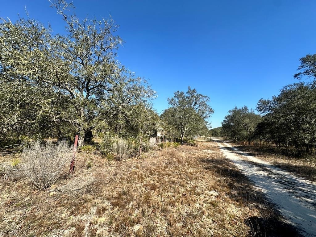 NE 69th Street Williston FL 32696 GC520603 image4