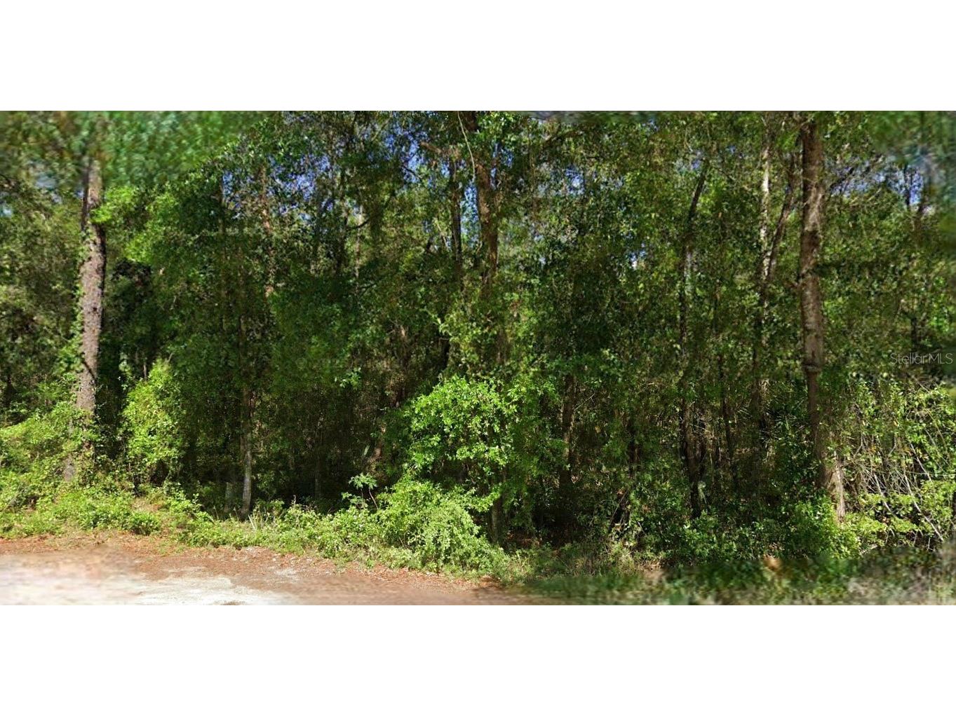 NE 6th Lane Road Silver Springs FL 34488 O6406414 image1