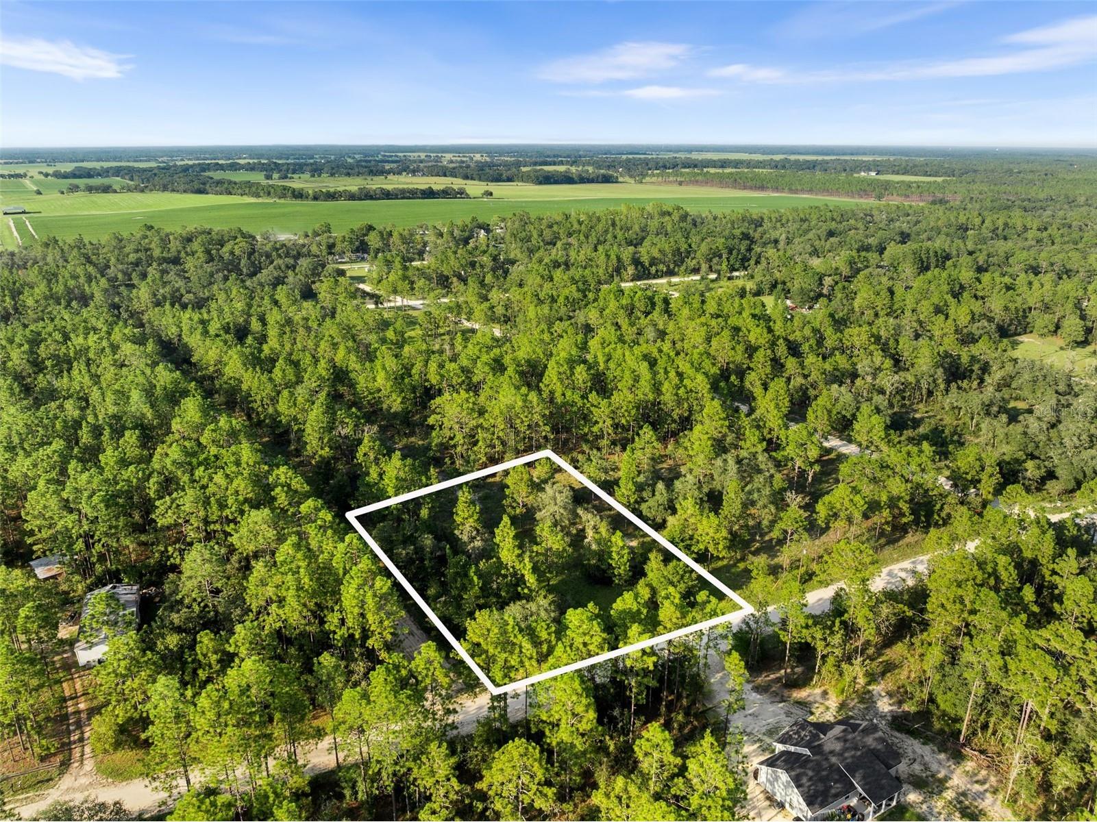 NE 6th Street Williston FL 32696 GC536968 image1