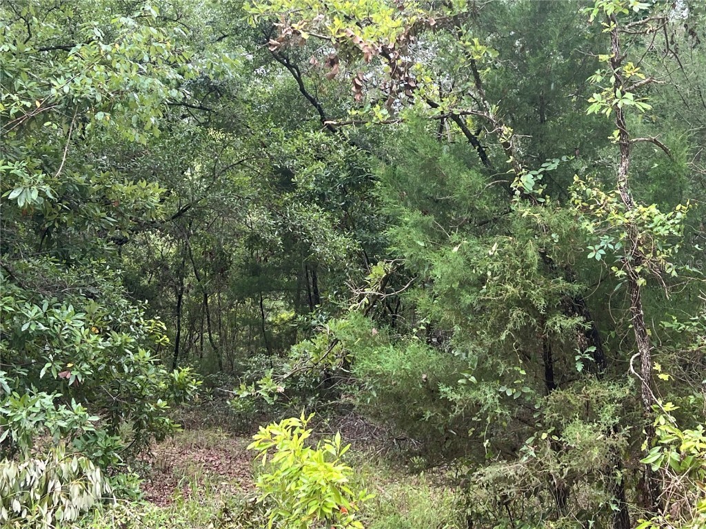 NE 70th Avenue High Springs FL 32643 GC532253 image1