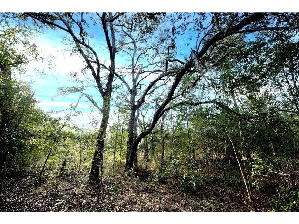 NE 71st Street Bronson FL 32621 OM694302 image1