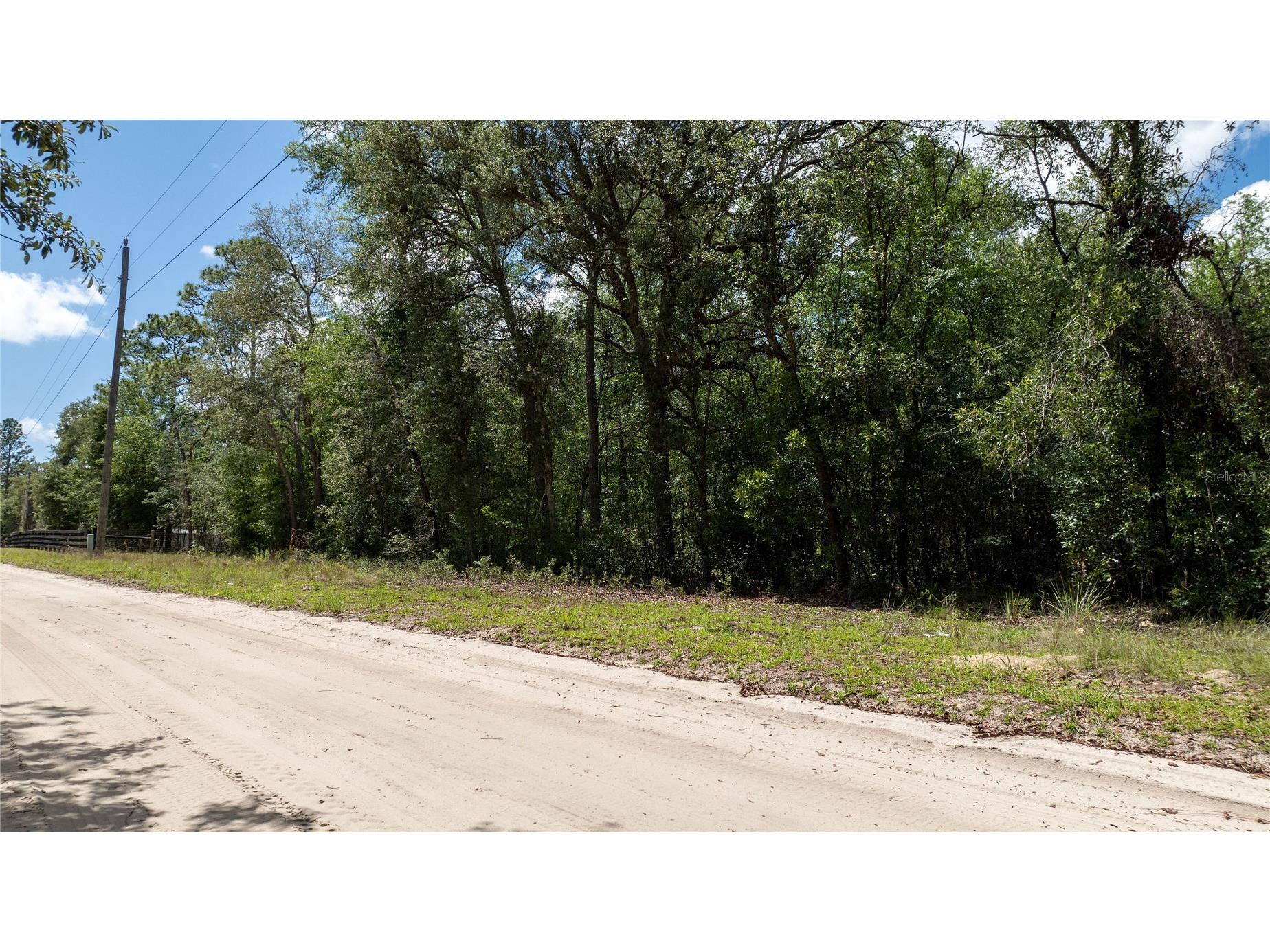 Ne 71st Street Bronson FL 32621 OM725822 image1