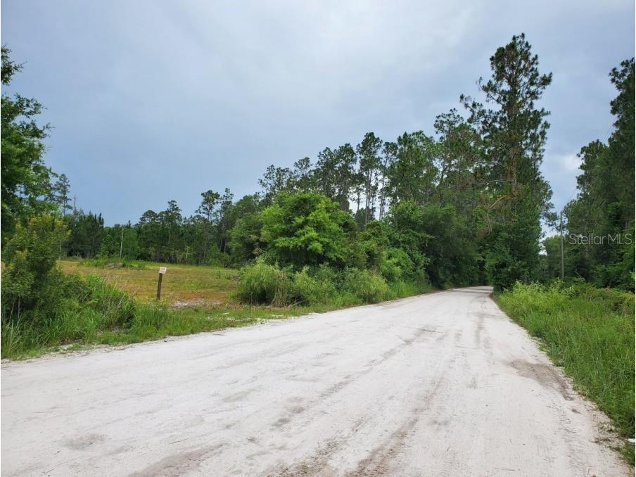 NE 73rd Terrace Citra FL 32113 T3495016 image1