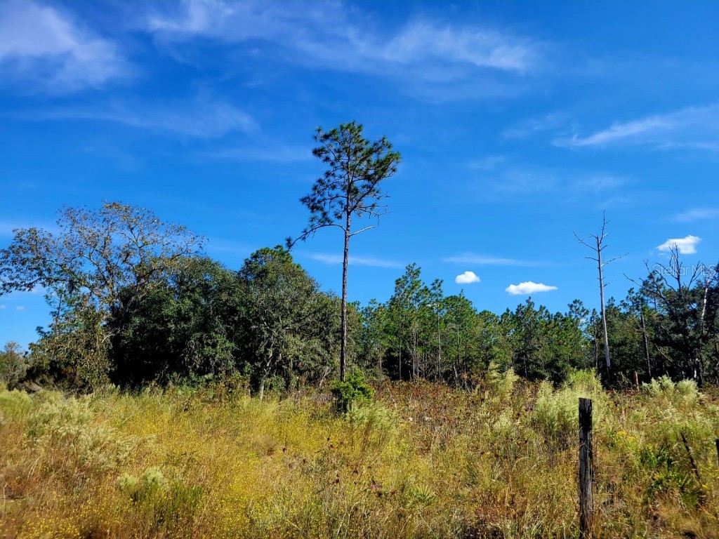 NE 76 Street Bronson FL 32621 GC509667 image1