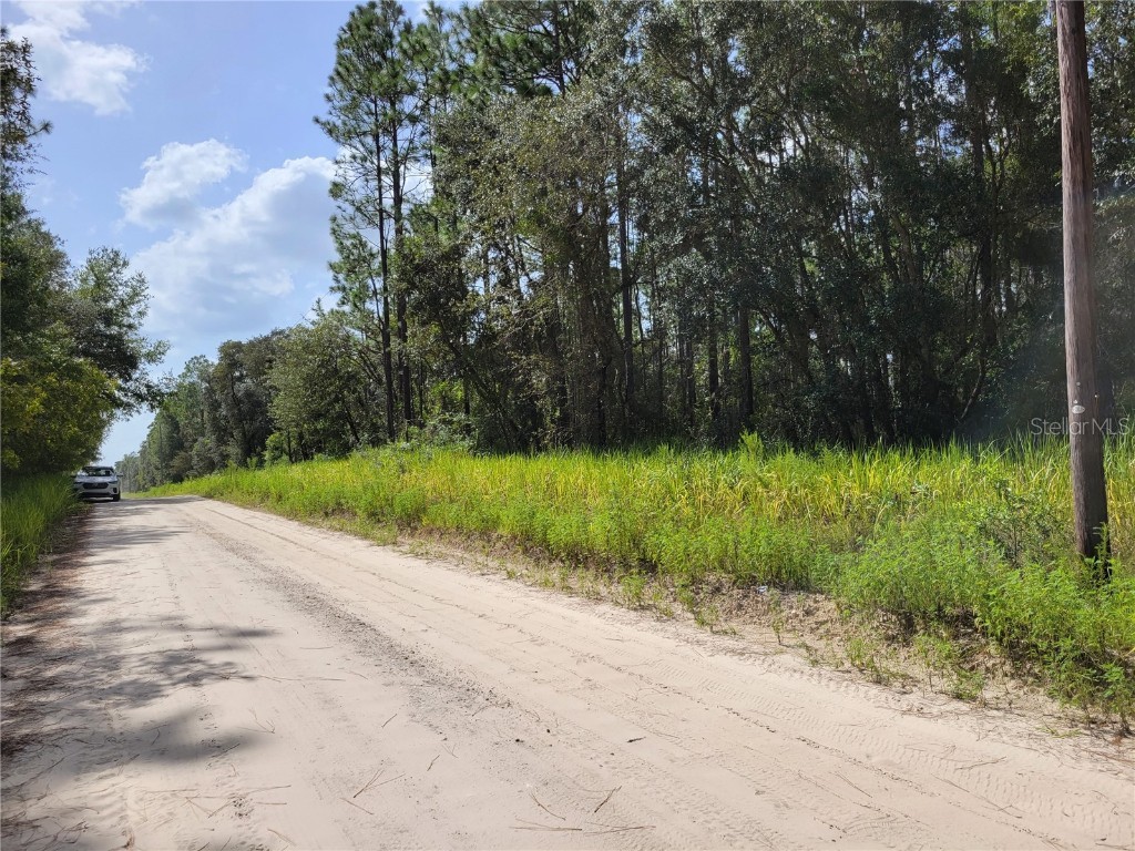 NE 78th Lane Bronson FL 32621 O6176652 image1