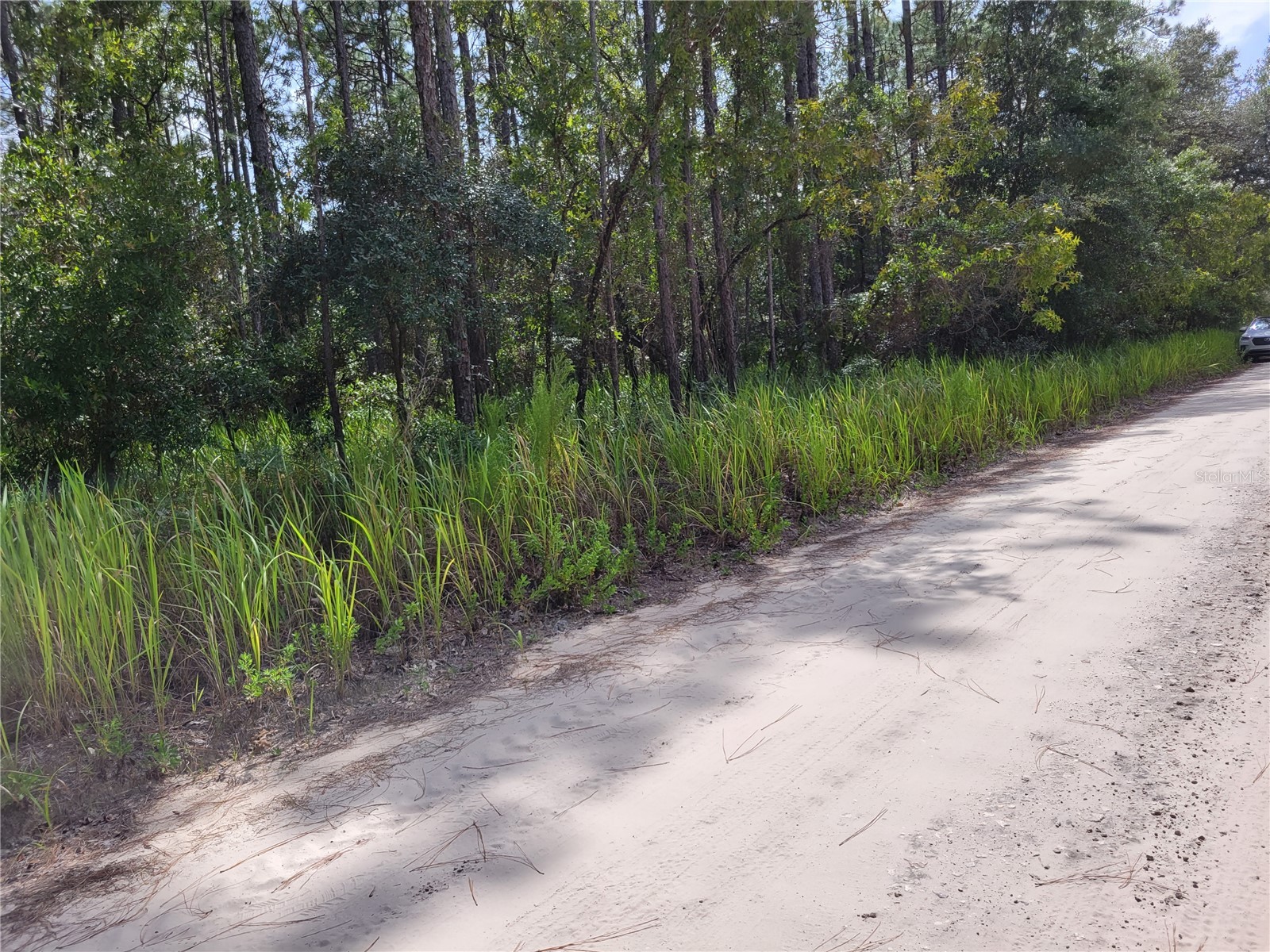 NE 78th Lane Bronson FL 32621 O6176802 image1