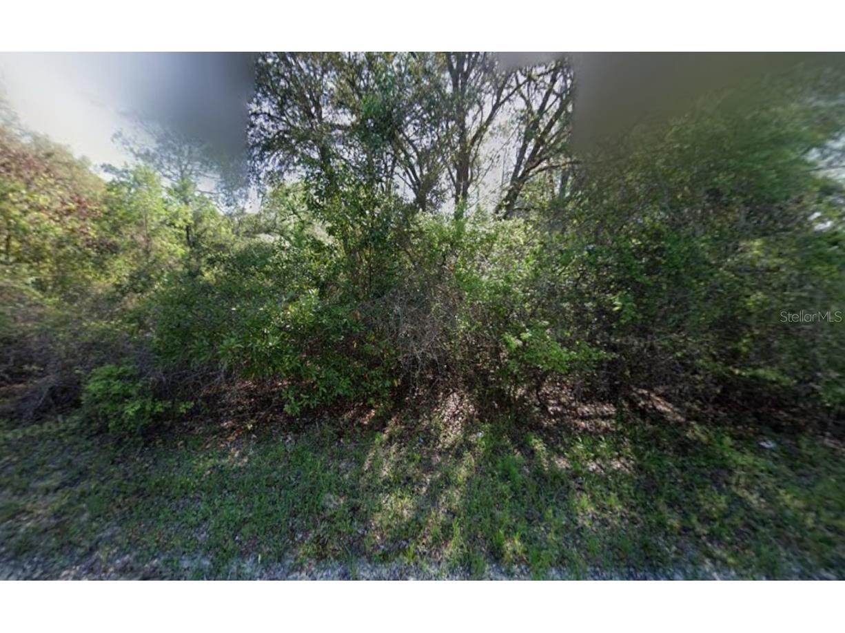 NE 799th Street Old Town FL 32680 K4903198 image1