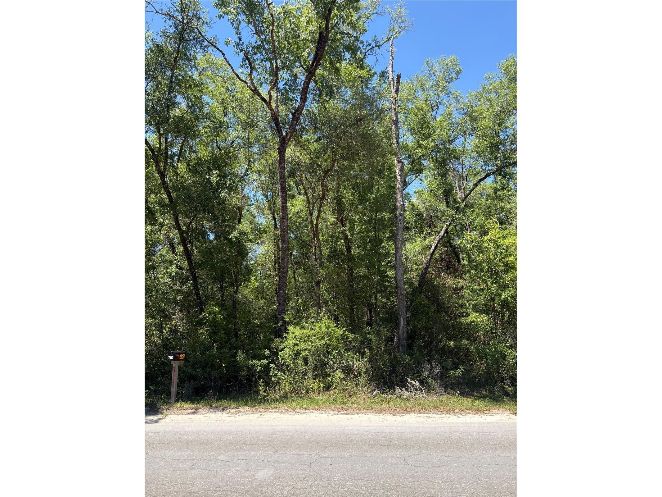 00 Ne 7th Place Williston FL 32696 OM724054 image1