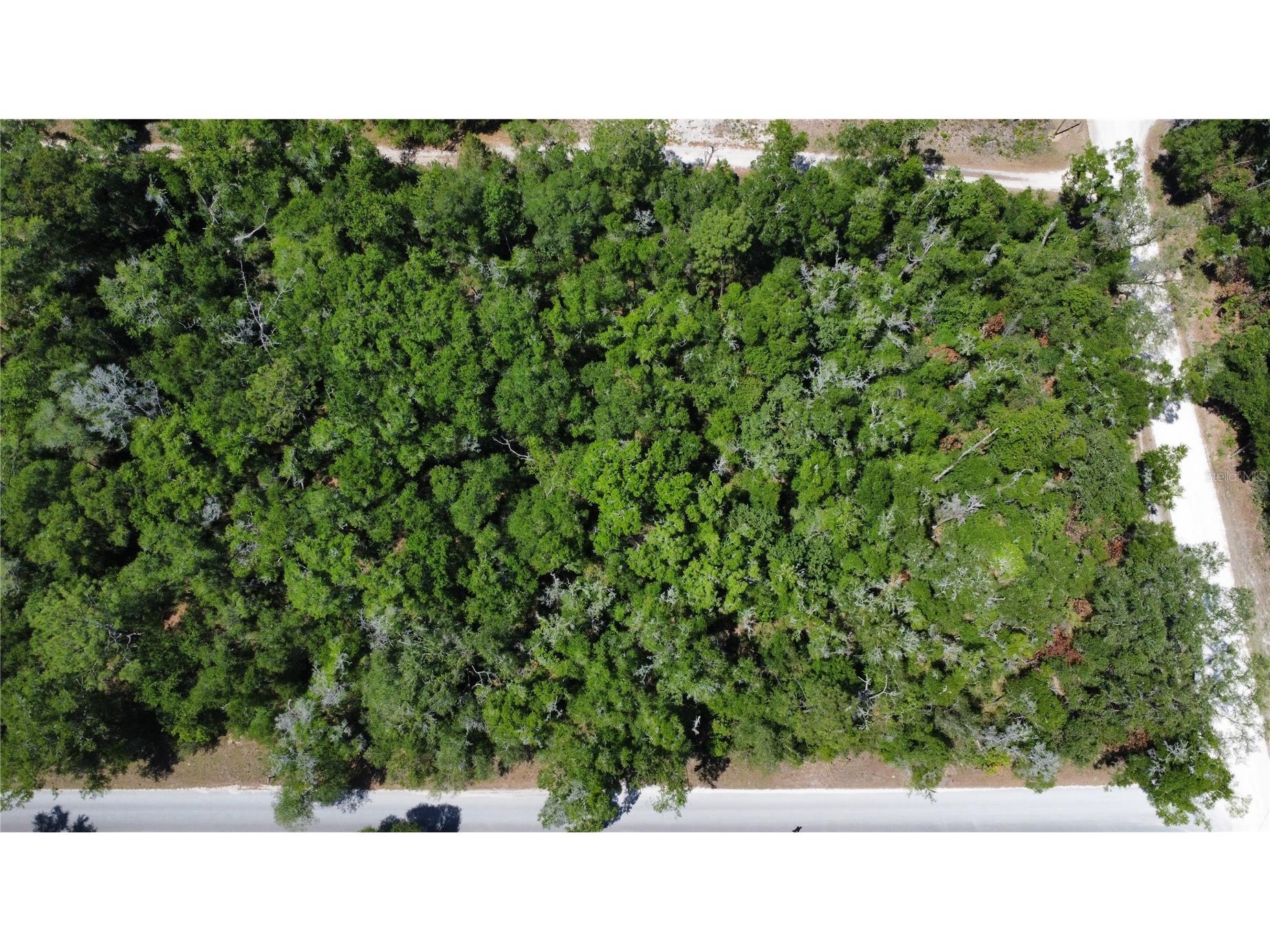 00 Ne 7th Place Williston FL 32696 OM724054 image2
